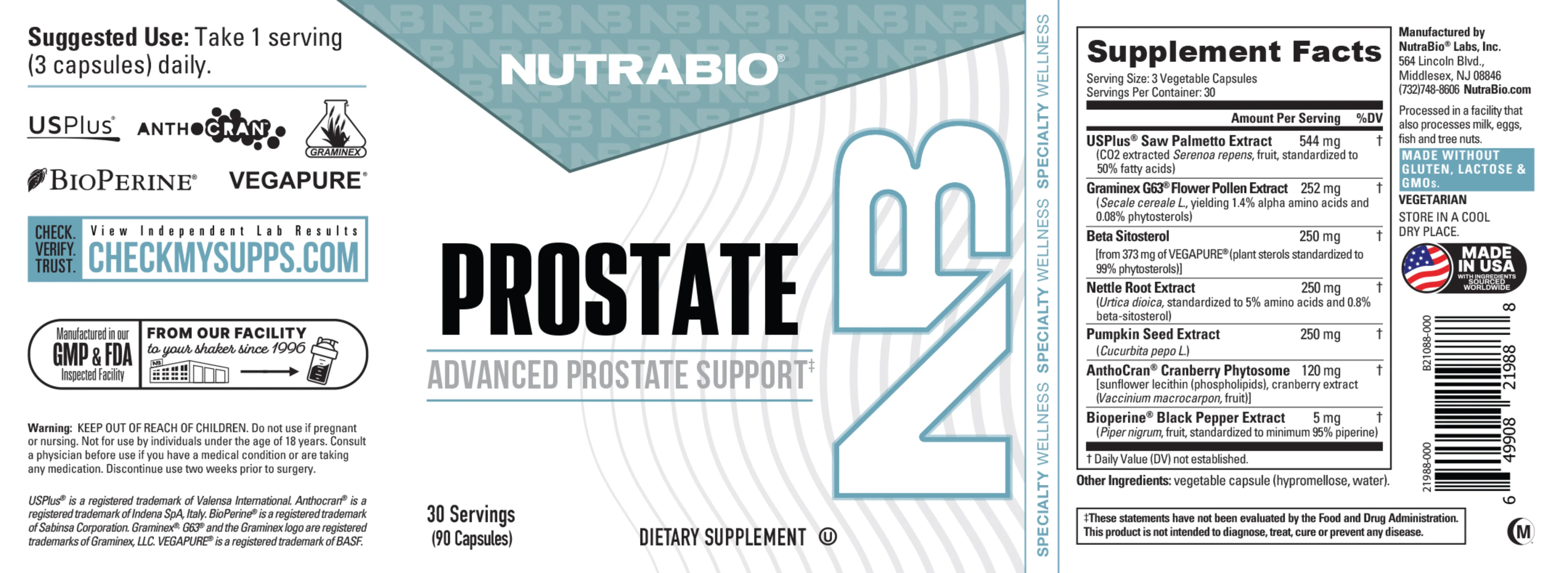 Prostate - Image 3